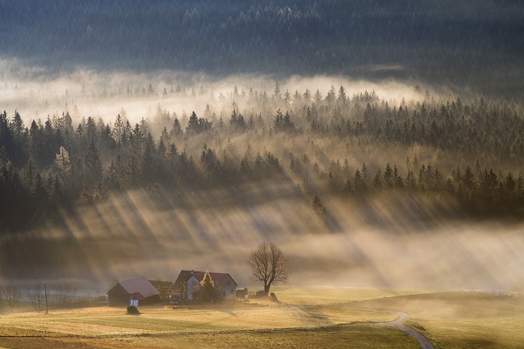 "The Hut Near a Forest", fot. Marcin Sobas